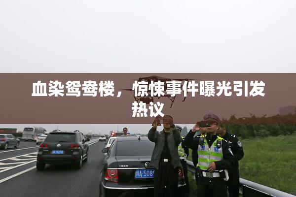 血染鸳鸯楼，惊悚事件曝光引发热议