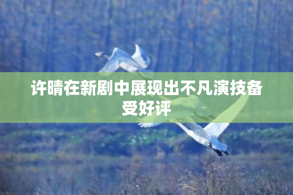 许晴在新剧中展现出不凡演技备受好评