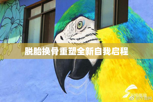 脱胎换骨重塑全新自我启程