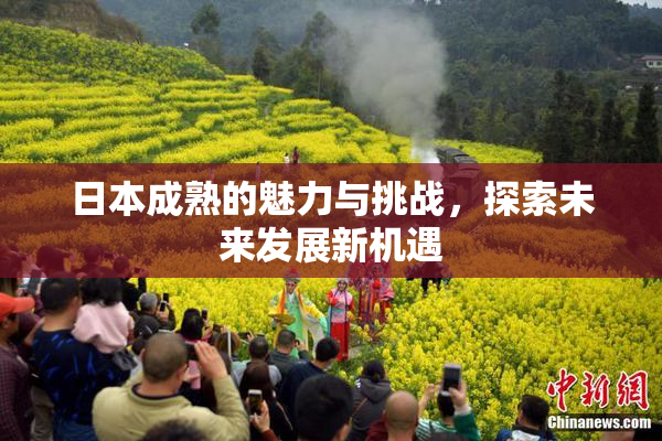 日本成熟的魅力与挑战，探索未来发展新机遇