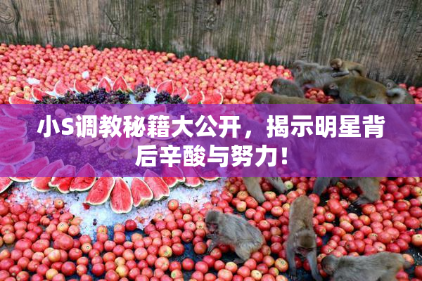 小S调教秘籍大公开，揭示明星背后辛酸与努力！