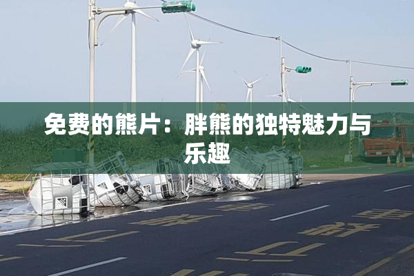 免费的熊片：胖熊的独特魅力与乐趣