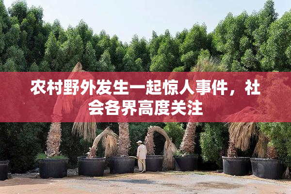 农村野外发生一起惊人事件，社会各界高度关注