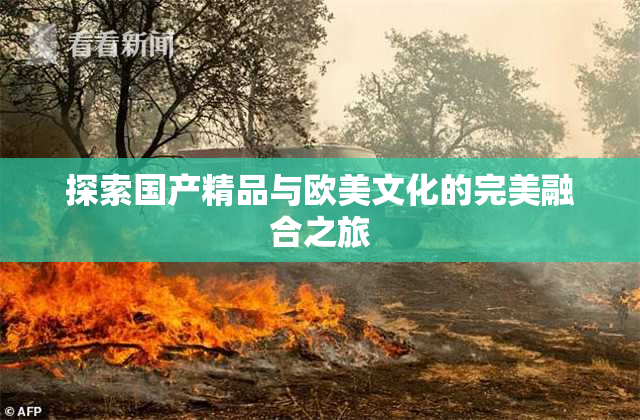 探索国产精品与欧美文化的完美融合之旅