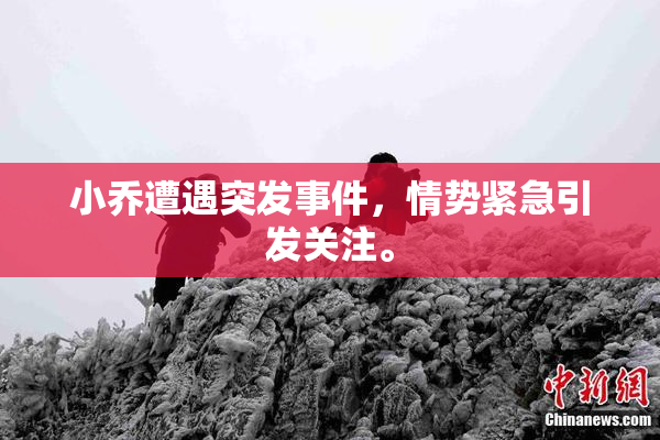 小乔遭遇突发事件，情势紧急引发关注。