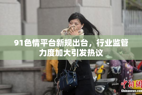 91色情平台新规出台，行业监管力度加大引发热议