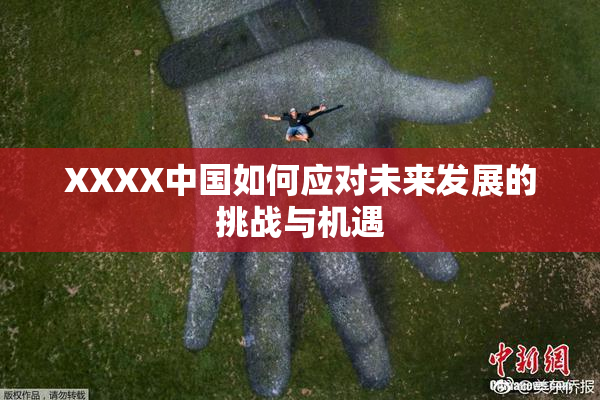 XXXX中国如何应对未来发展的挑战与机遇