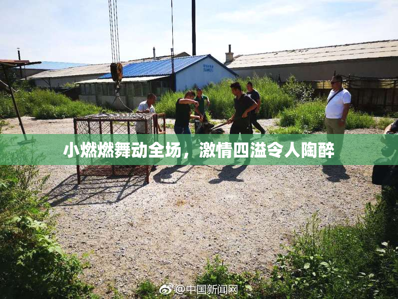 小燃燃舞动全场，激情四溢令人陶醉