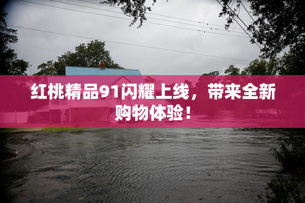 红桃精品91闪耀上线，带来全新购物体验！
