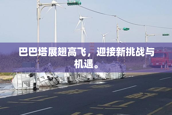 巴巴塔展翅高飞，迎接新挑战与机遇。
