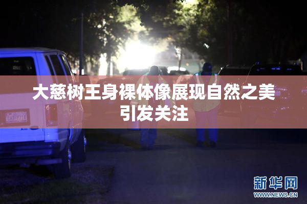 大慈树王身裸体像展现自然之美引发关注