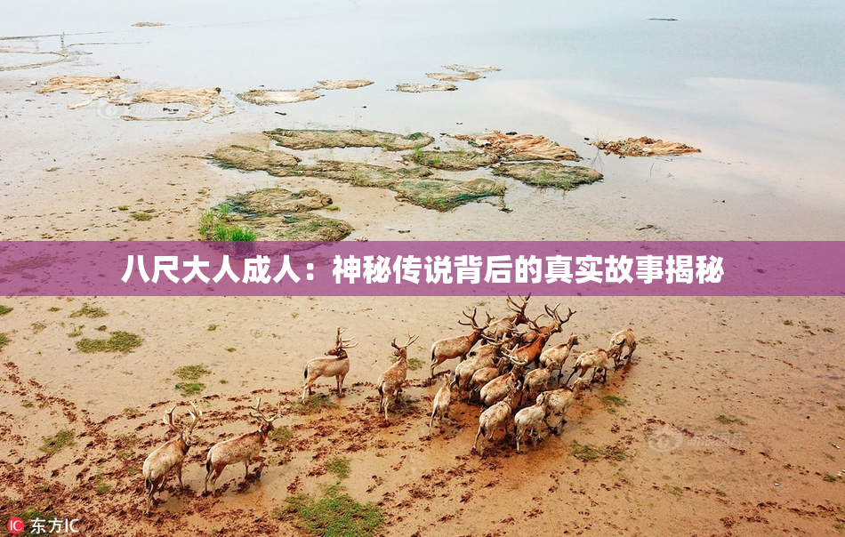 八尺大人成人：神秘传说背后的真实故事揭秘