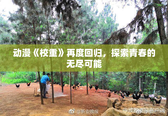 动漫《校重》再度回归，探索青春的无尽可能
