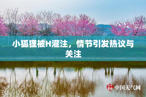 小狐狸被H灌注，情节引发热议与关注