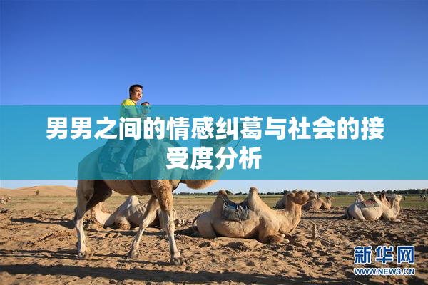 男男之间的情感纠葛与社会的接受度分析