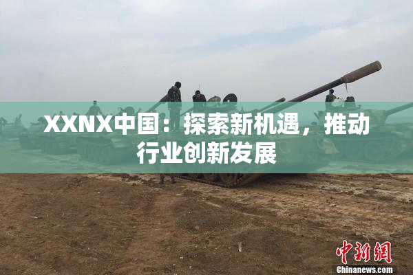 XXNX中国：探索新机遇，推动行业创新发展