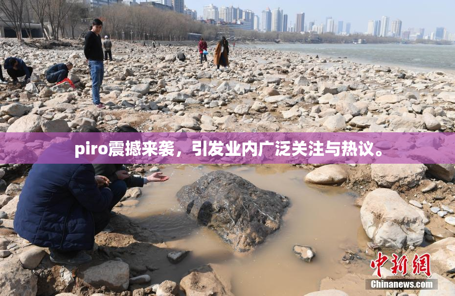 piro震撼来袭，引发业内广泛关注与热议。