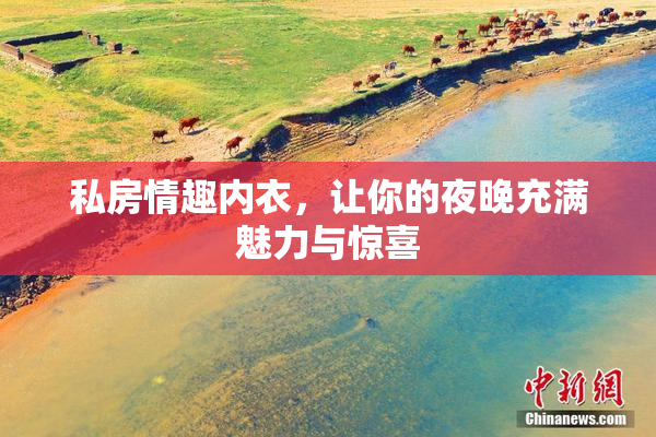 私房情趣内衣，让你的夜晚充满魅力与惊喜