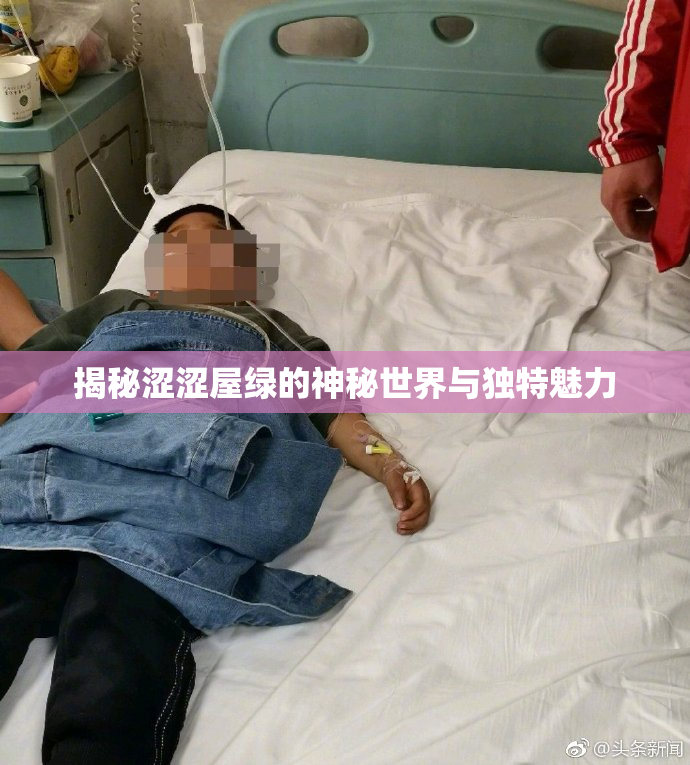 揭秘涩涩屋绿的神秘世界与独特魅力