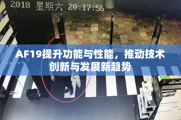 AF19提升功能与性能，推动技术创新与发展新趋势