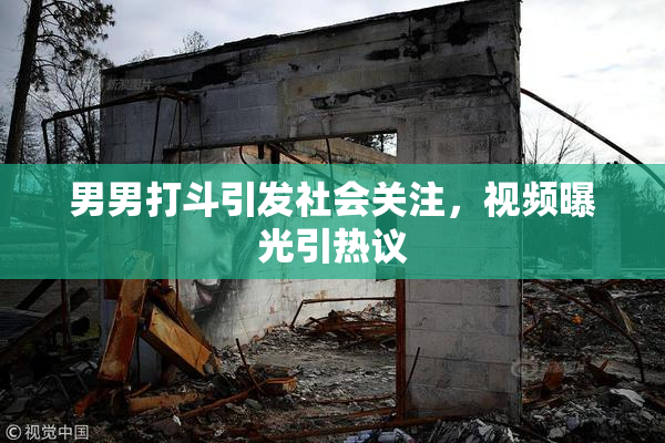 男男打斗引发社会关注，视频曝光引热议