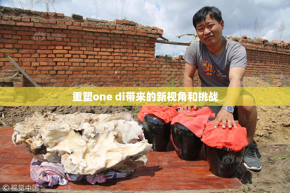 重塑one di带来的新视角和挑战