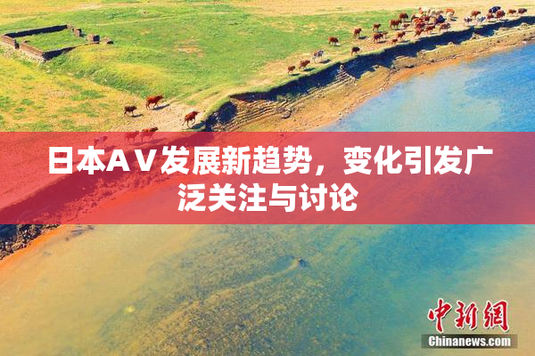 日本AⅤ发展新趋势，变化引发广泛关注与讨论