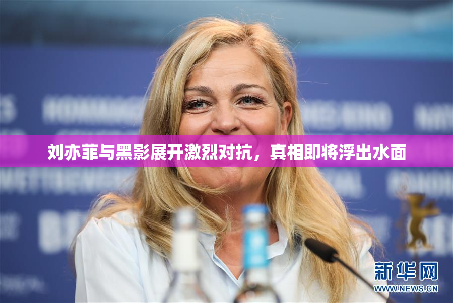 刘亦菲与黑影展开激烈对抗，真相即将浮出水面