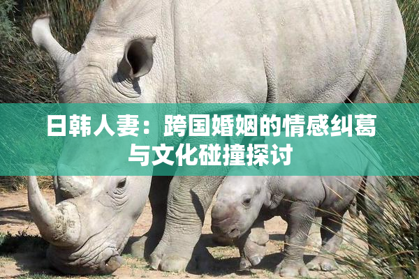 日韩人妻：跨国婚姻的情感纠葛与文化碰撞探讨