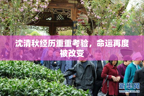 沈清秋经历重重考验，命运再度被改变