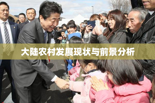 大陆农村发展现状与前景分析