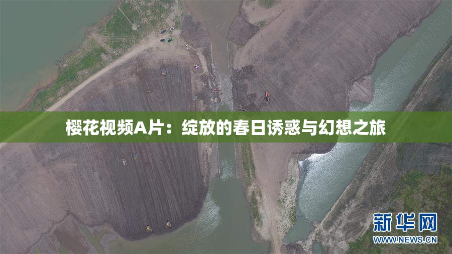 樱花视频A片：绽放的春日诱惑与幻想之旅