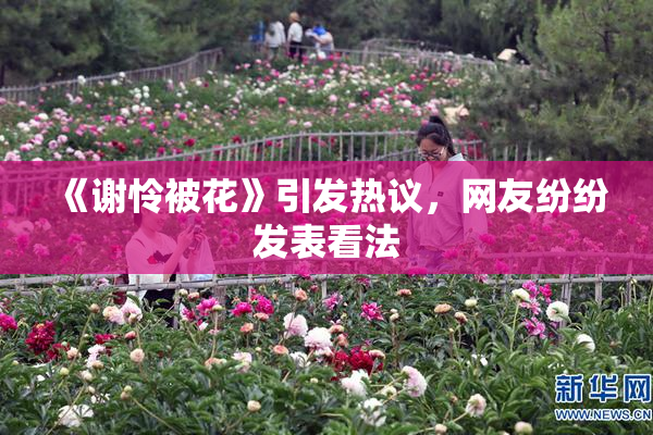 《谢怜被花》引发热议，网友纷纷发表看法