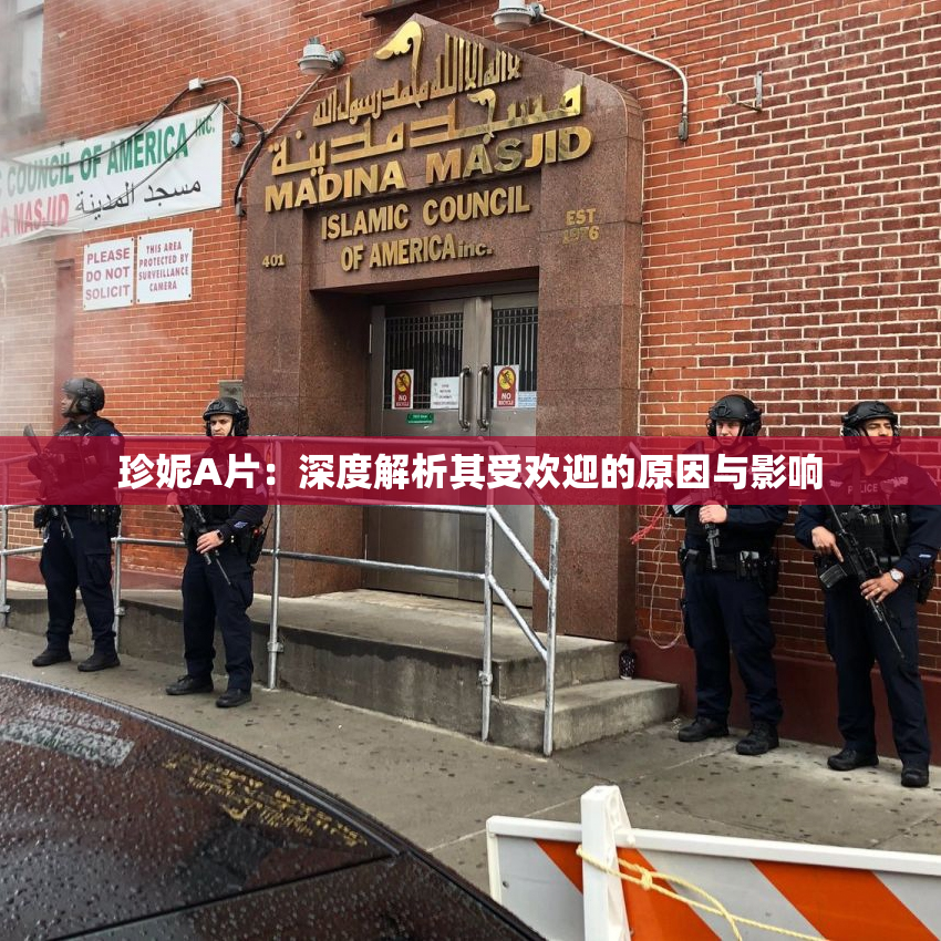 珍妮A片：深度解析其受欢迎的原因与影响