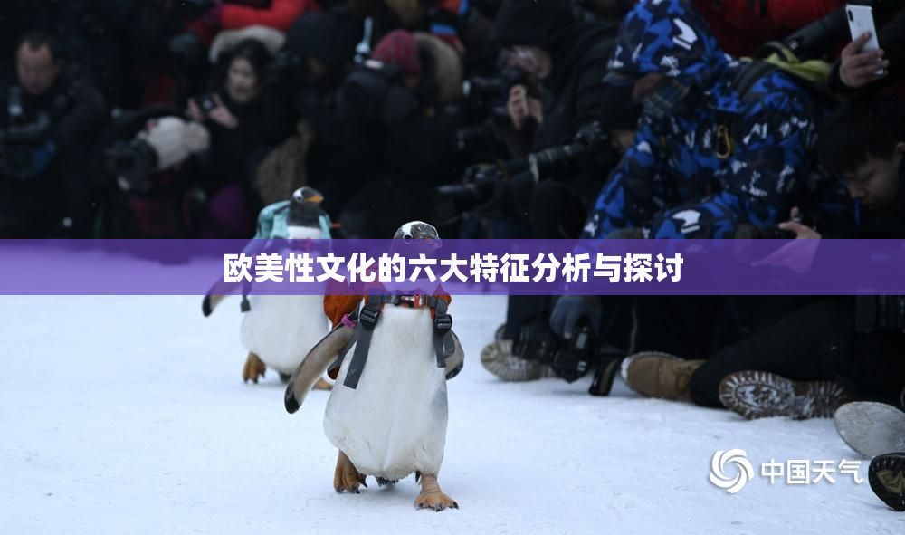 欧美性文化的六大特征分析与探讨