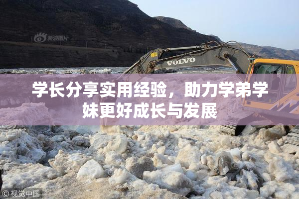 学长分享实用经验，助力学弟学妹更好成长与发展