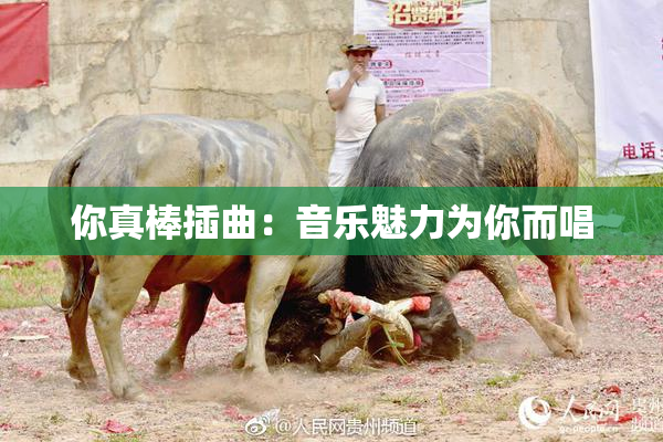 你真棒插曲：音乐魅力为你而唱