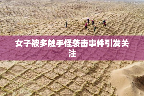 女子被多触手怪袭击事件引发关注