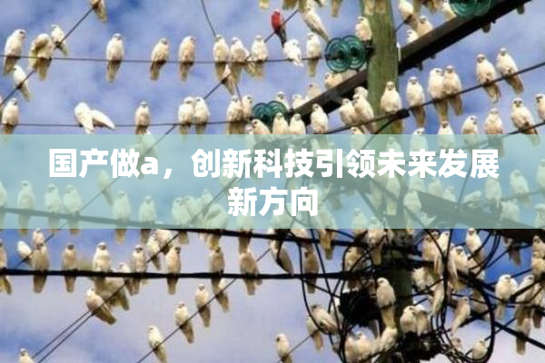 国产做a，创新科技引领未来发展新方向
