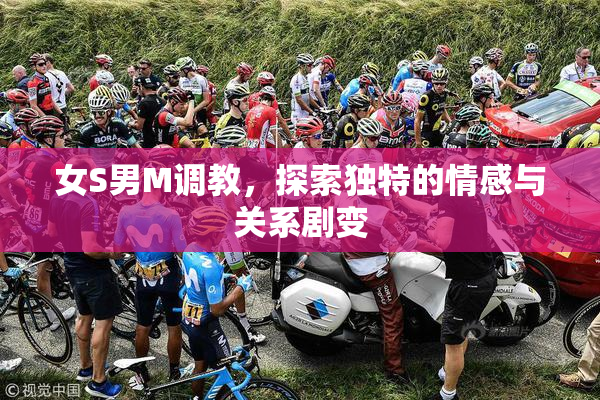 女S男M调教，探索独特的情感与关系剧变