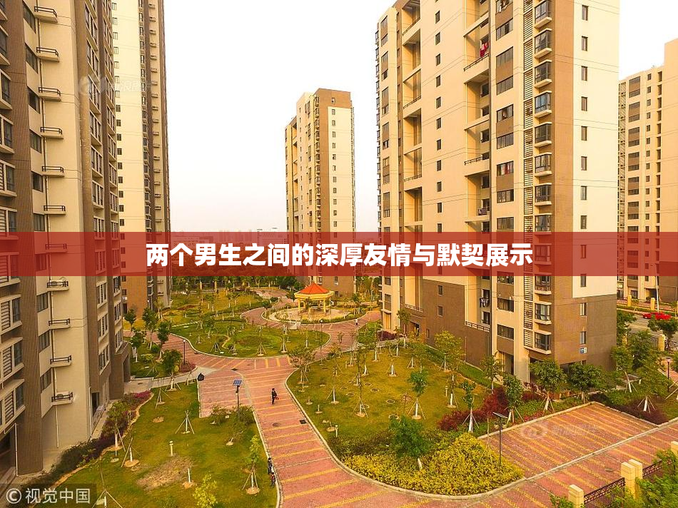 两个男生之间的深厚友情与默契展示