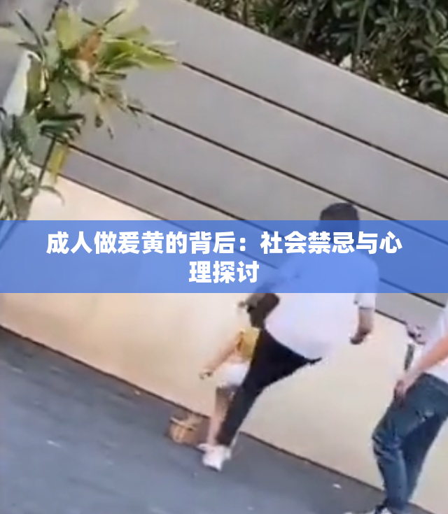 成人做爰黄的背后：社会禁忌与心理探讨