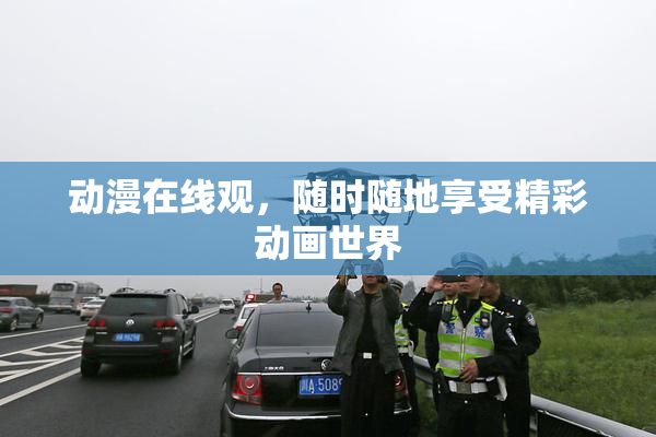动漫在线观，随时随地享受精彩动画世界