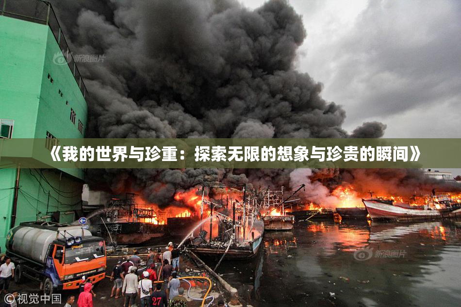 《我的世界与珍重：探索无限的想象与珍贵的瞬间》
