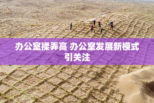 办公室揉弄高 办公室发展新模式引关注
