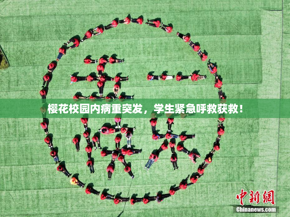 樱花校园内病重突发，学生紧急呼救获救！