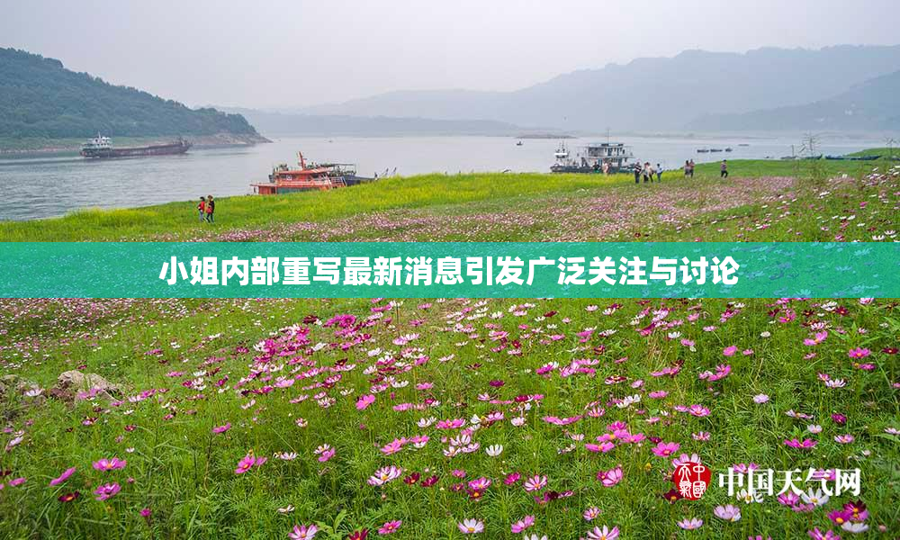 小姐内部重写最新消息引发广泛关注与讨论