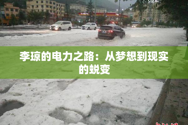 李琼的电力之路：从梦想到现实的蜕变