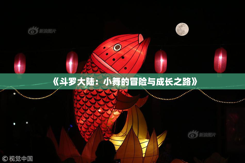 《斗罗大陆：小舞的冒险与成长之路》