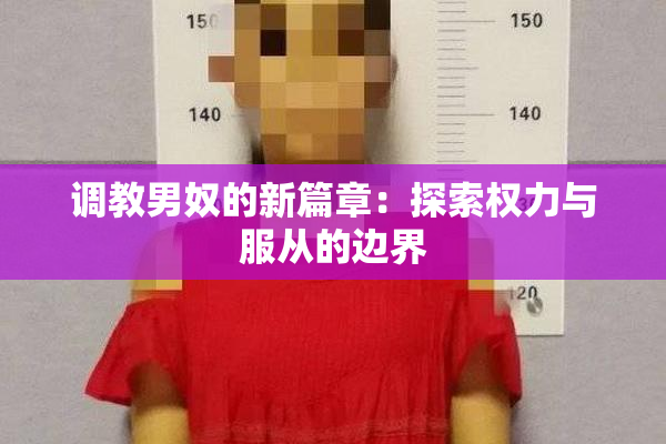 调教男奴的新篇章：探索权力与服从的边界